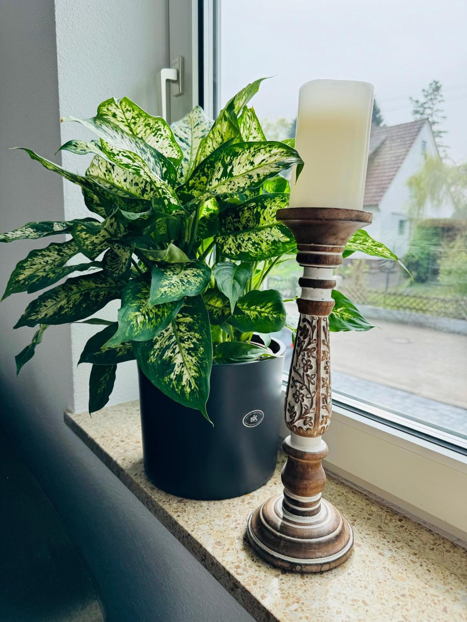 Apartment Ihm Ai Benningen 外观 照片